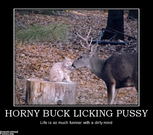 horny-buck-licking-pussy-sex-animals-lol-demotivational-posters-1364365578