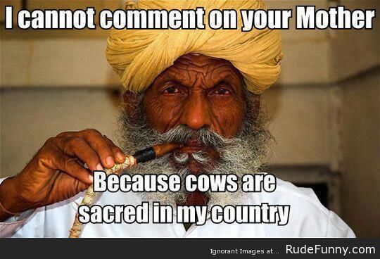 Cows-are-Sacred